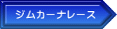 ジムカーナレース 