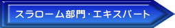 スラローム・エキスパートトーナメント 
